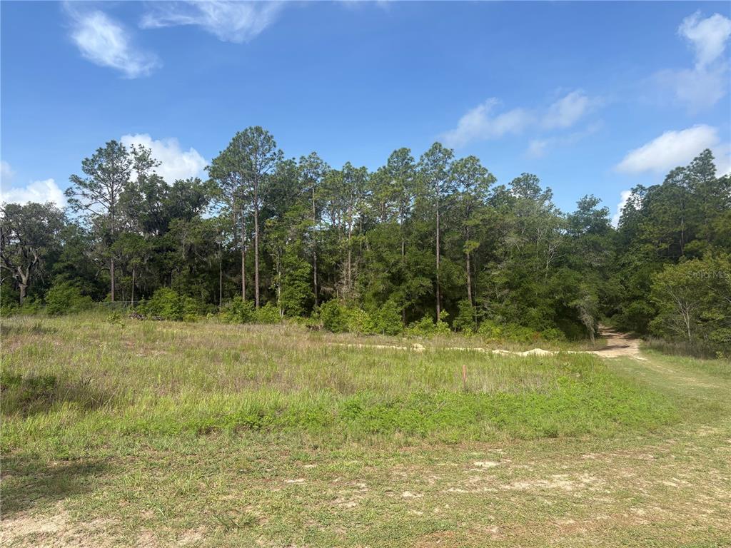 Ocala