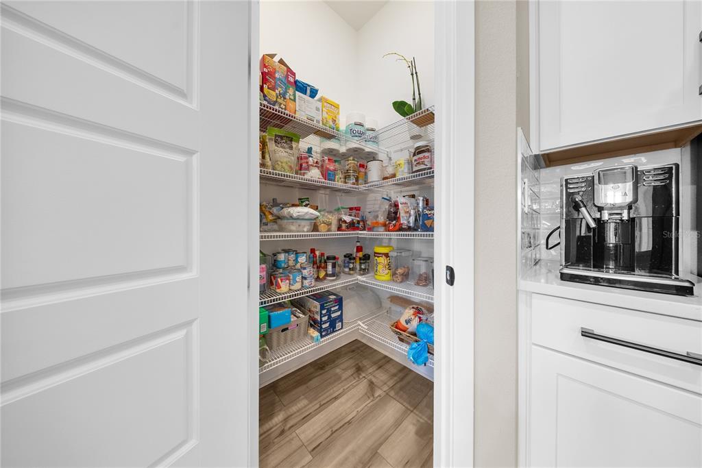 16055 SILVER BROOK WAY,WINTER GARDEN