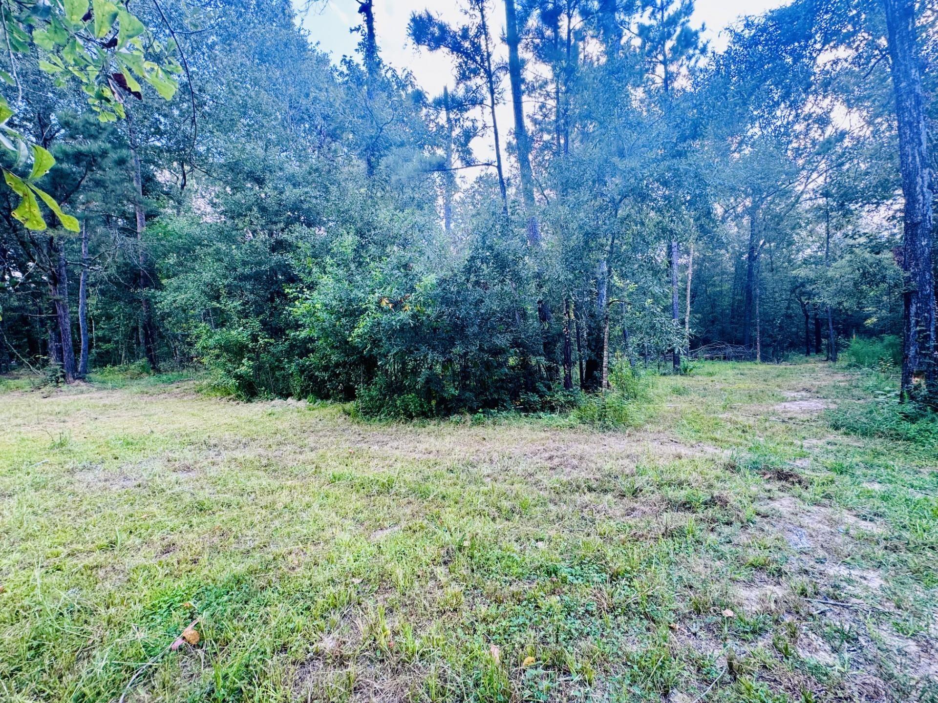 Photo 2 of Land for sale at 702 County Rd 2339, Dayton, TX 77535 | MLS# 65570819 | Listing updated on 2026-10-02