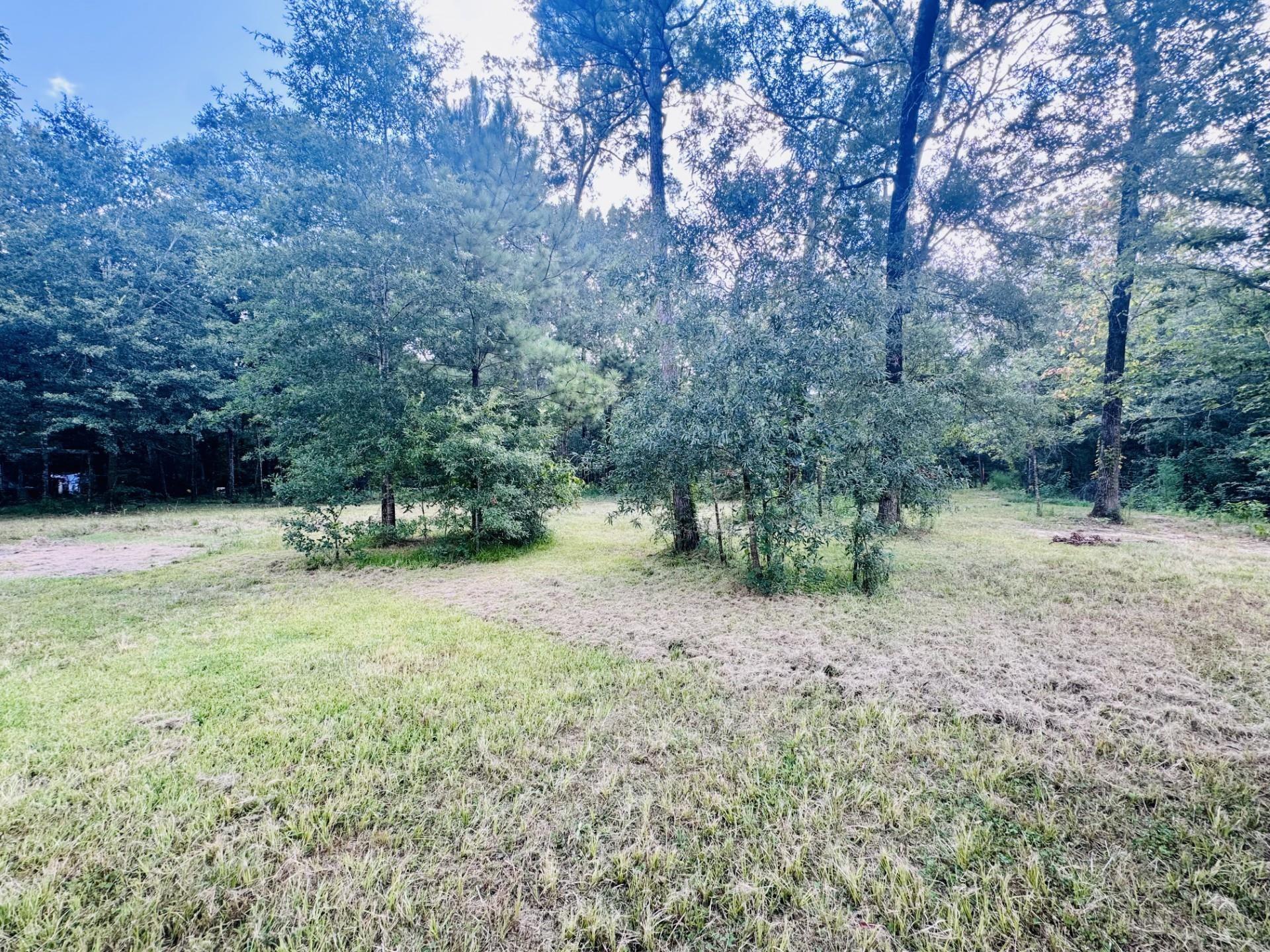 Photo 3 of Land for sale at 702 County Rd 2339, Dayton, TX 77535 | MLS# 65570819 | Listing updated on 2026-10-02