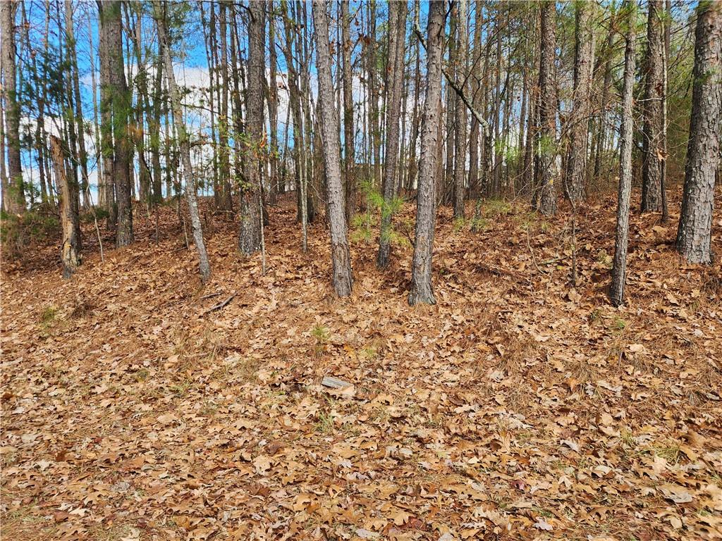 91 Cannon Ridge View