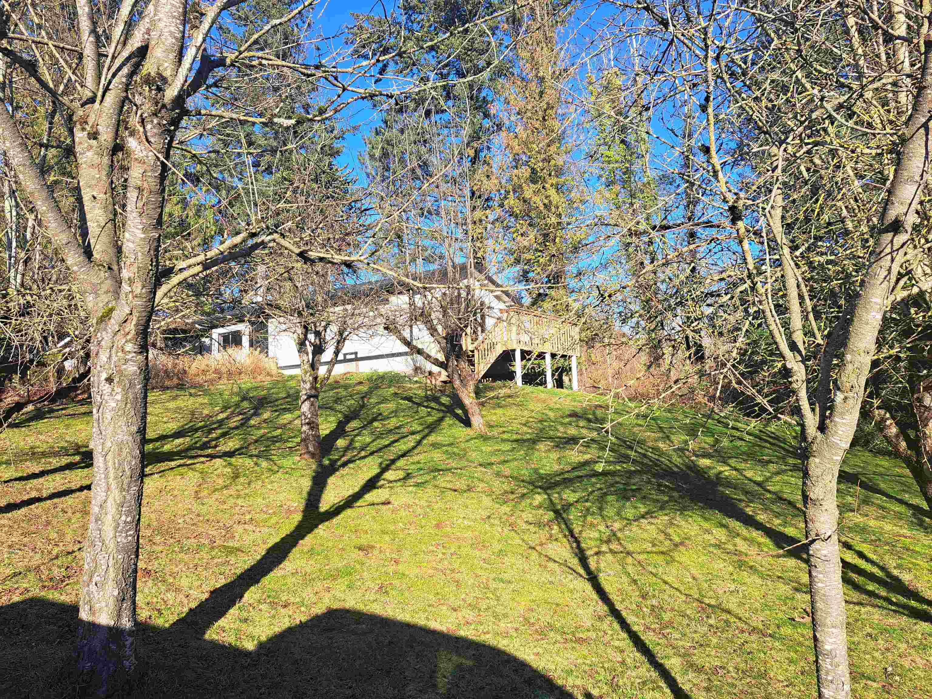 37318 Ward Road - 1