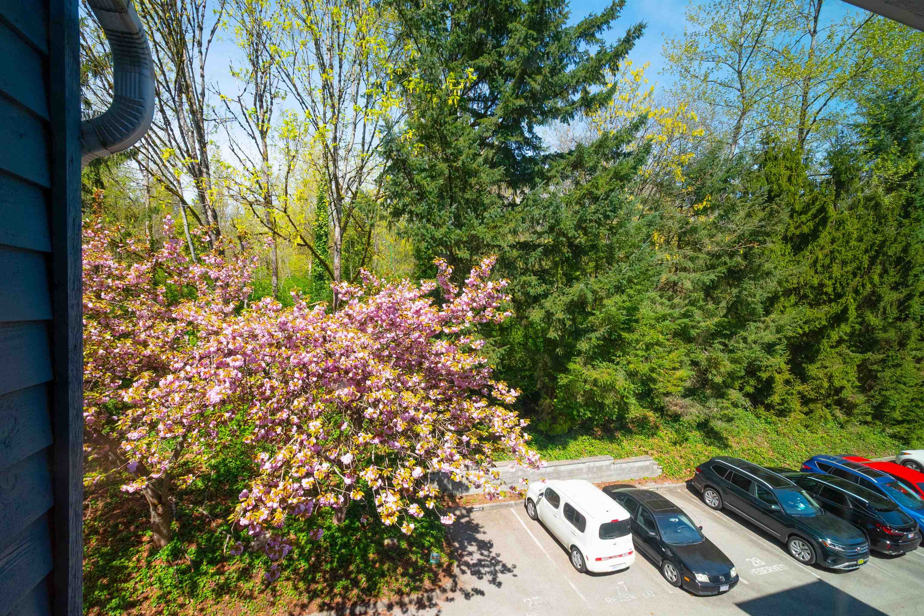 8328 Aspenwood Place - 24
