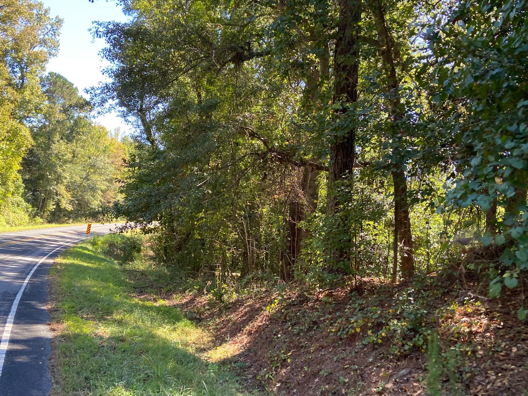 Photo 4 of Single family home for sale at 738 Todd Crk Rd, Neeses, SC 29107 | MLS# 26027875 | Listing updated on 2026-10-08