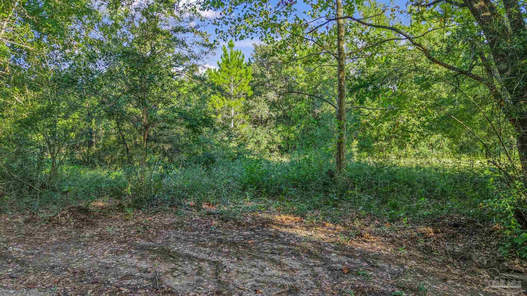 Photo 3 of Land for sale at 00 Chumuckla Hwy, Milton, FL 32571 | MLS# 689884 | Listing updated on 2026-10-08